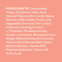 Load image into Gallery viewer, Juicy Peach